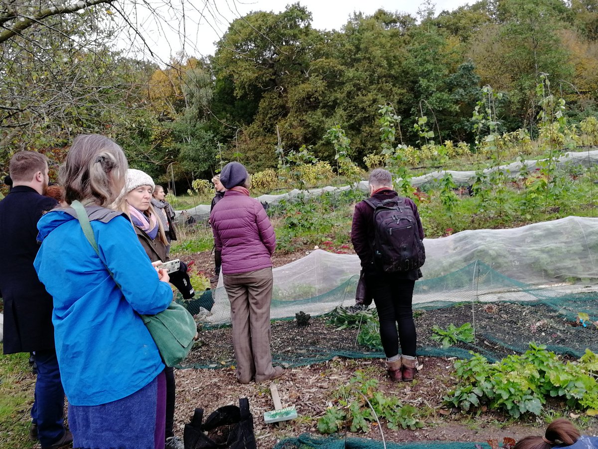 vickihird's tweet image. Now at the @organiclea fantastic site in Waltham forest #periurban #fringefarming - large site with major horticulture skills training going on as well as food growing.