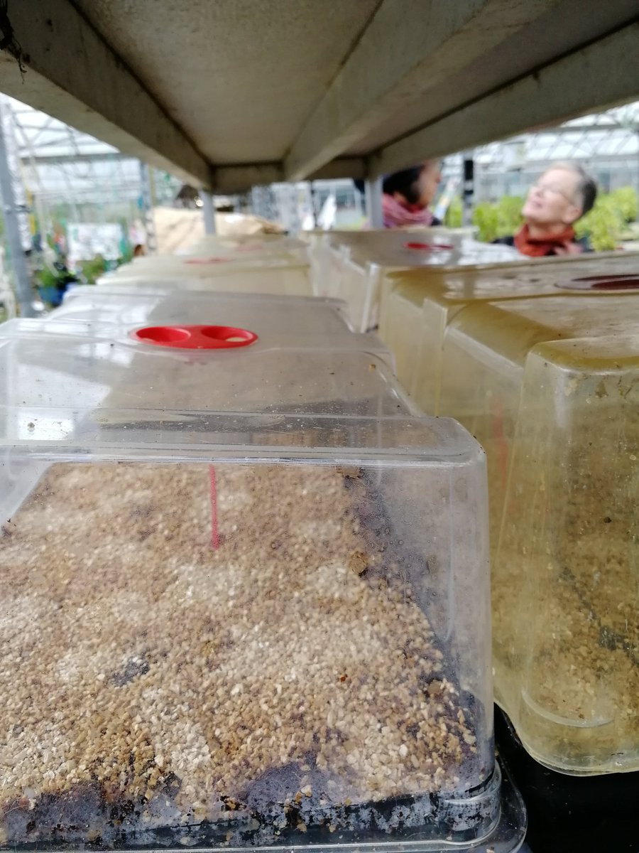 vickihird's tweet image. Now at the @organiclea fantastic site in Waltham forest #periurban #fringefarming - large site with major horticulture skills training going on as well as food growing.