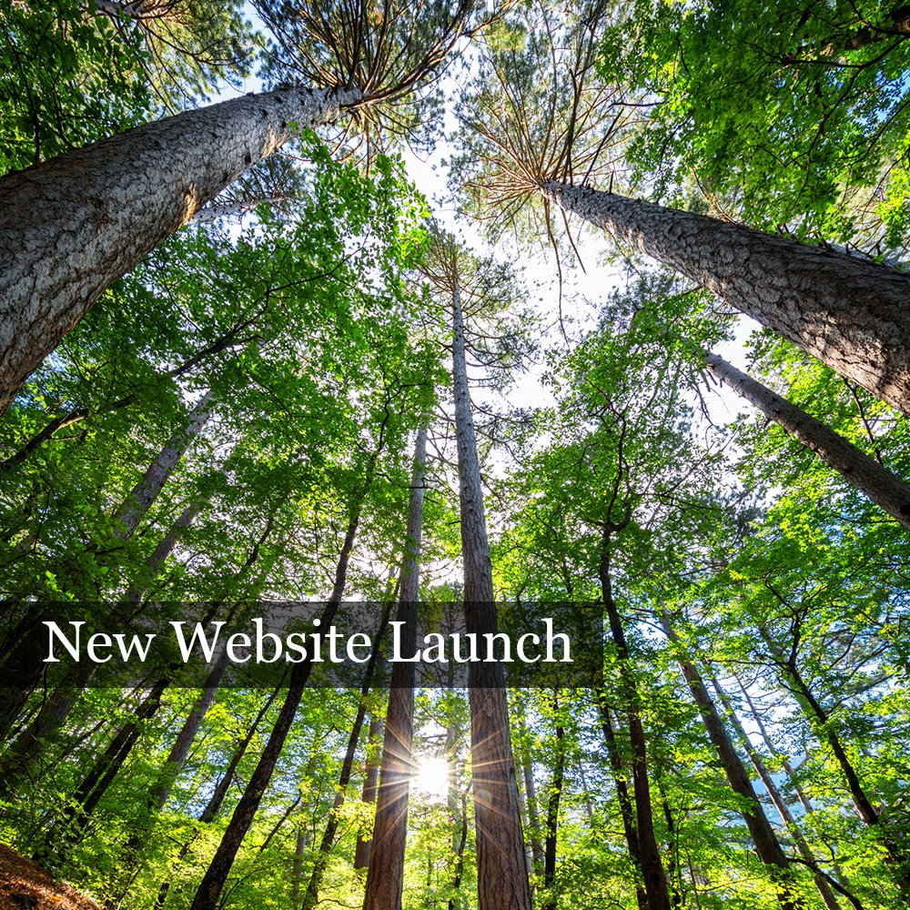 Greenleafsolar2's tweet image. We are excited to say that our new website will be going live today.  We have some great offers available for solar systems and a new chat widget should you have any questions.

More news coming soon!