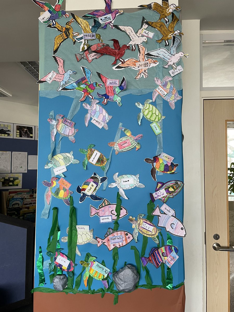 emyj347's tweet photo. My Year 3 class are learning first hand about human impact on natural habitats. Our orangutang are disappearing and our poor turtles have straw issues! As a result the students are taking action. #IBPYP #sharingtheplanet #endplasticpollution #takingaction #saynotopalmoil https://t.co/LR28BRWDxS