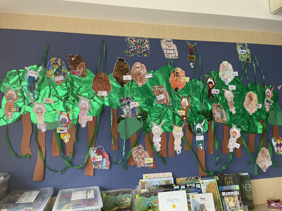 emyj347's tweet photo. My Year 3 class are learning first hand about human impact on natural habitats. Our orangutang are disappearing and our poor turtles have straw issues! As a result the students are taking action. #IBPYP #sharingtheplanet #endplasticpollution #takingaction #saynotopalmoil https://t.co/LR28BRWDxS