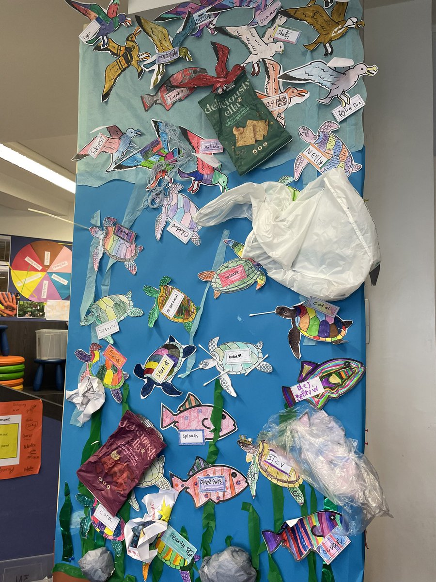emyj347's tweet photo. My Year 3 class are learning first hand about human impact on natural habitats. Our orangutang are disappearing and our poor turtles have straw issues! As a result the students are taking action. #IBPYP #sharingtheplanet #endplasticpollution #takingaction #saynotopalmoil https://t.co/LR28BRWDxS