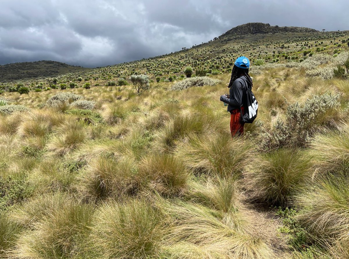 victor_mbao's tweet photo. @IDRC_CRDI @Livestock_IDRC Mitigation strategies should be informed by #OneHealth parameters such as local ecosystems, #livestock production & health systems within those ecosystems and livelihoods; in context. A one-size-fits-all approach will not work.
#OneHealthDay #1Health4Dev https://t.co/WQXGUTTNH1