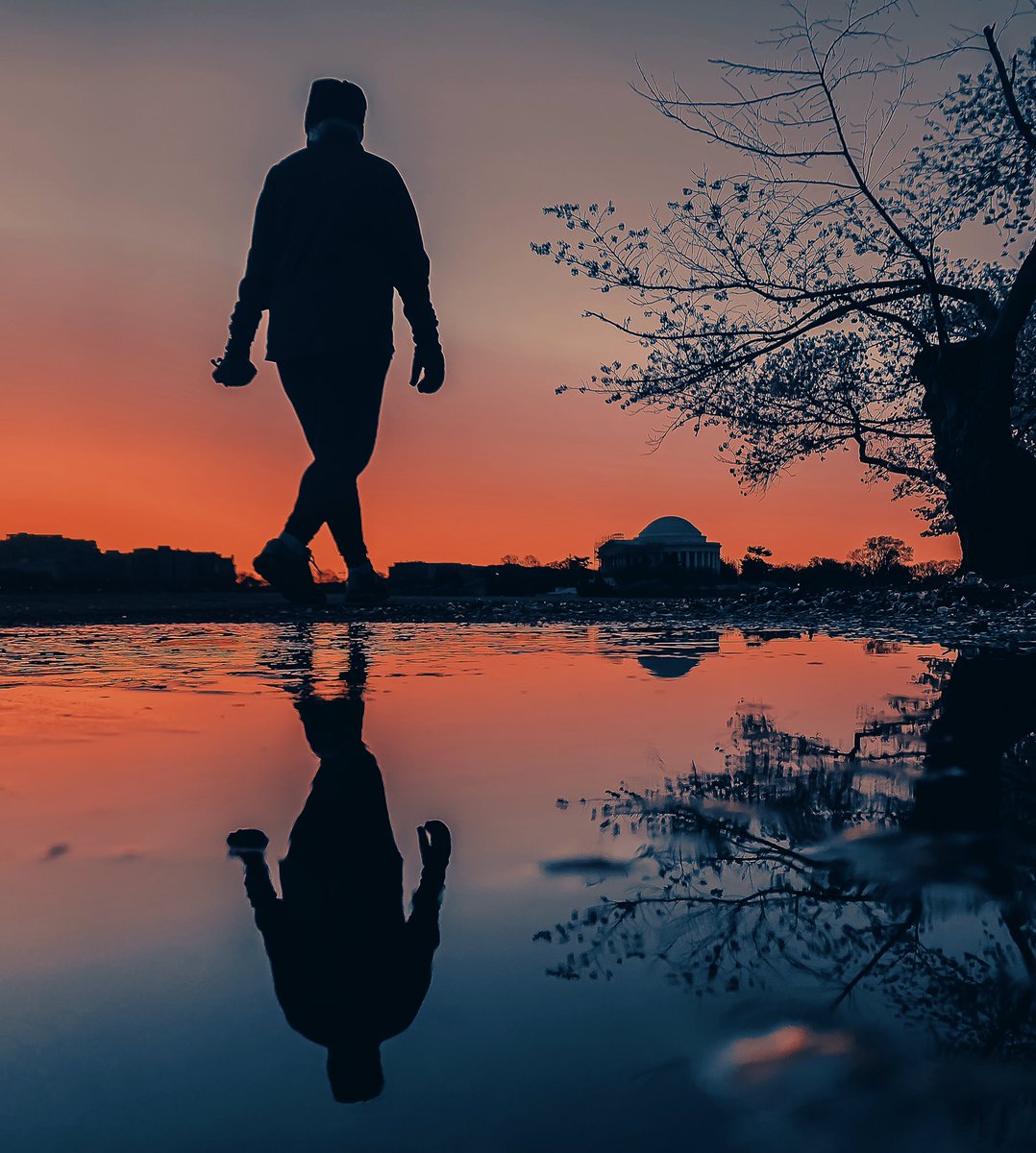 NaiboVisuals's tweet photo. 7.

I love capturing Reflections. I anticipate shots from natural puddles and mirrors/glass that I stage or find when I am out photographing. This work is on @PortionApp. 

Link: https://t.co/H27X1TvxPh

#NFTCommunity #nftcollectors #nftshrooms #NFTfamily  #nftphotography https://t.co/5KpnN9AOaK