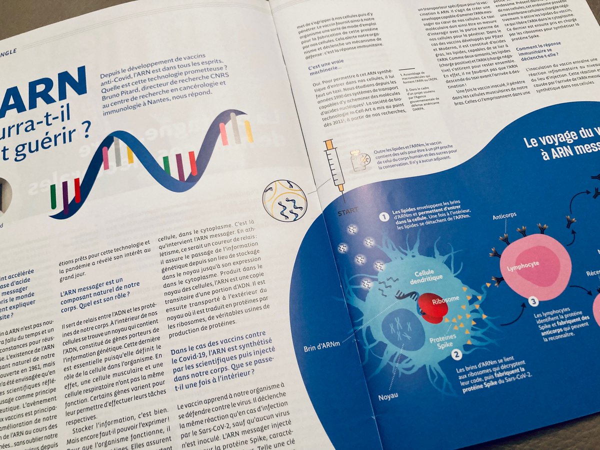 MarieAHilary's tweet photo. Zoom sur les propriétés de l’#ARN dans le nouveau numéro de @Sciences_Ouest 🤓 https://t.co/iyD6WIe59r