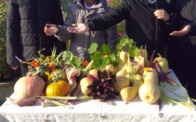 All the classes at <a href="/WoodfieldSC/">Woodfield School</a> to celebrate #OutdoorClassroomDay by visiting the #harvest display of veg we've grown at school and pick cosmos flowers. <a href="/OutdoorClassDay/">Outdoor Classroom Day</a> <a href="/OutdoorClassUKI/">Outdoor Classroom Day UK & Ireland</a>  @RHSSchools <a href="/cipermaculture/">CiP</a> #outdoorlearning #outdoorplay #wellbeing