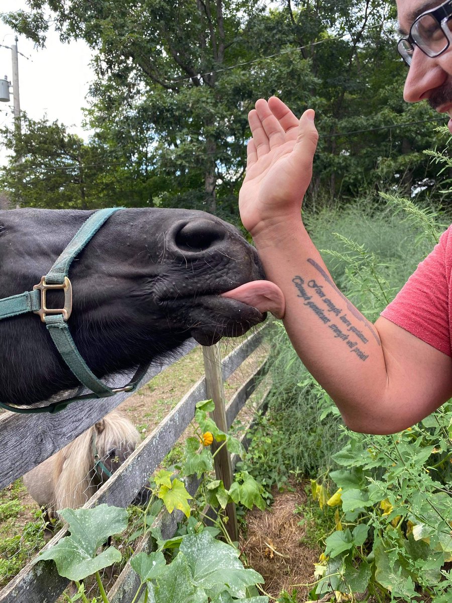 GizmoDogDaycare's tweet photo. Shadaisy can get really friendly! From a visit over the summer to give the horses some treats. 🐴❤️ #petdaycare #animaldaycare #farmlife #horses #animalsarefriends #horsedaycare #MilanNY #WappingersFallsNY #wappingers https://t.co/dLBuFQ5U4p