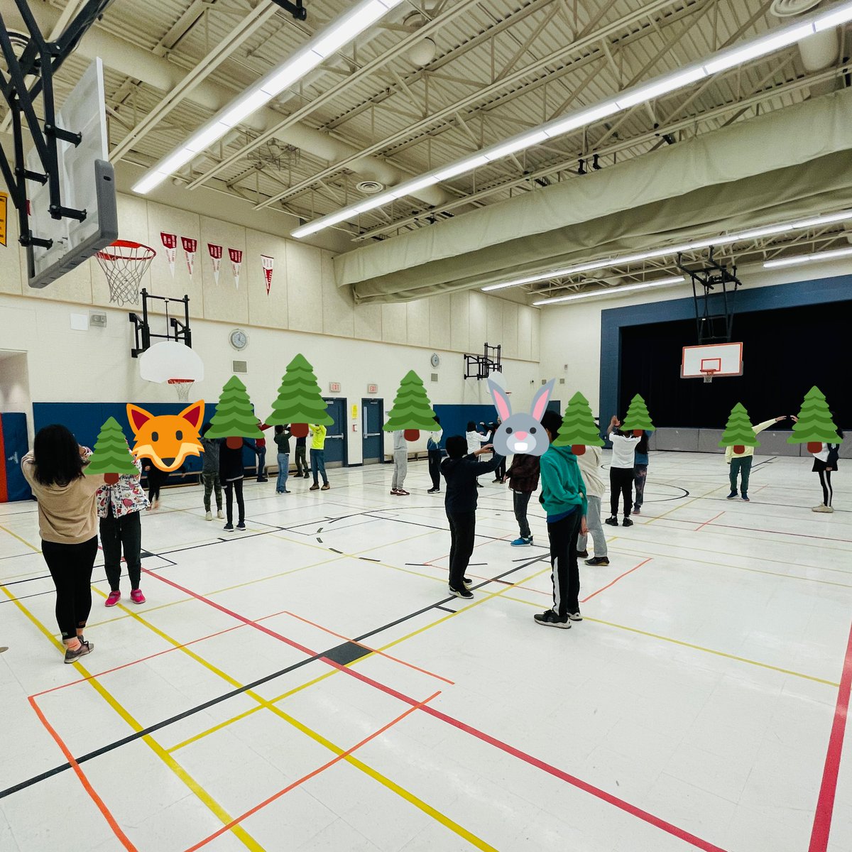 therealmsfelix's tweet photo. Just some #foxandrabbit from @dramadancecode for intermediates. Ss got to experience inclusion/exclusion, reflecting on the experience. @StonebridgePS @YRDSB @YRDSBArts @CaringSafeYRDSB @opheacanada @CIRAOntario https://t.co/Td4UeqYODN