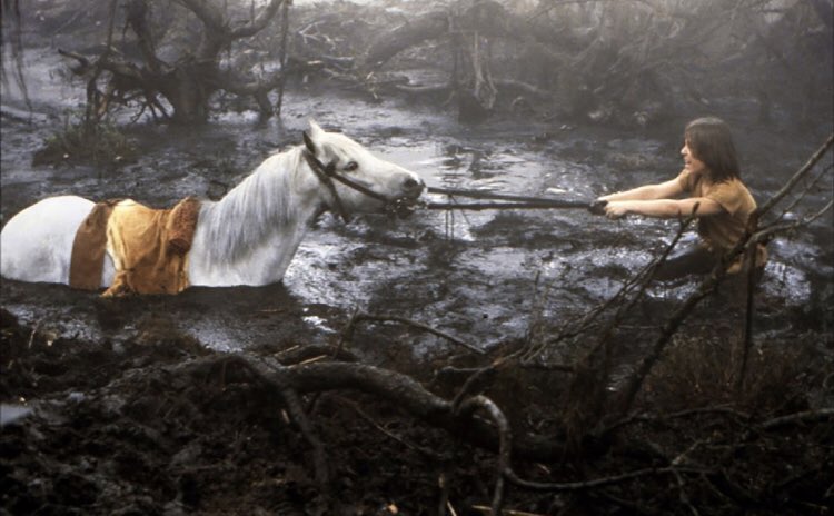 jcomin's tweet image. Poste le plan d’un film que tu as vu enfant et qui t’as hanté pendant des années ensuite