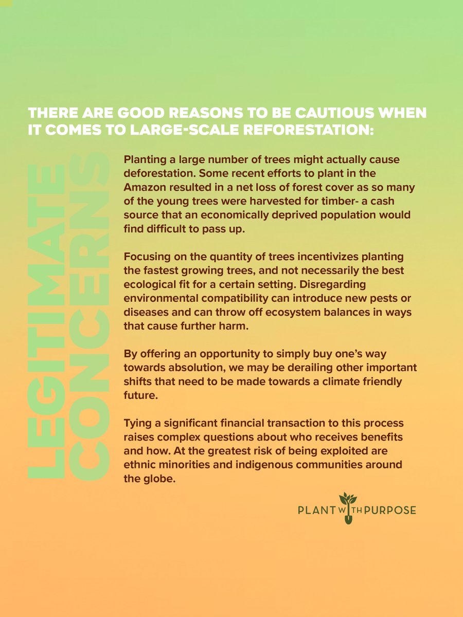 Plant With Purpose 🌲 tweet media