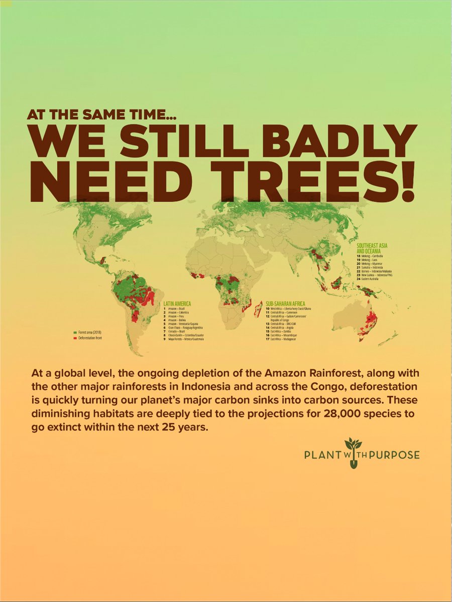 Plant With Purpose 🌲 tweet media