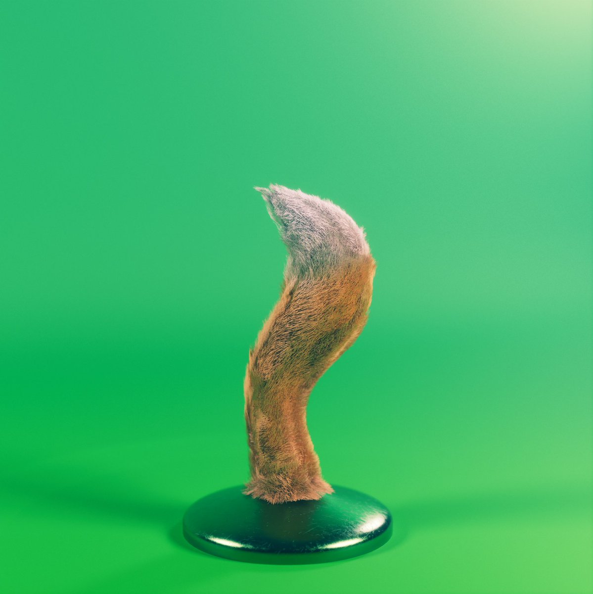 Newest Plugz Club discord request | Foxtail plug from <a href="/sugar/">p.vidyasagar</a>, who loves a good tickle!  
🤯🤯
Jump on the discord and let the ideas fly.  Your plug might just become a reality  💫
discord.gg/SYWCjdCX