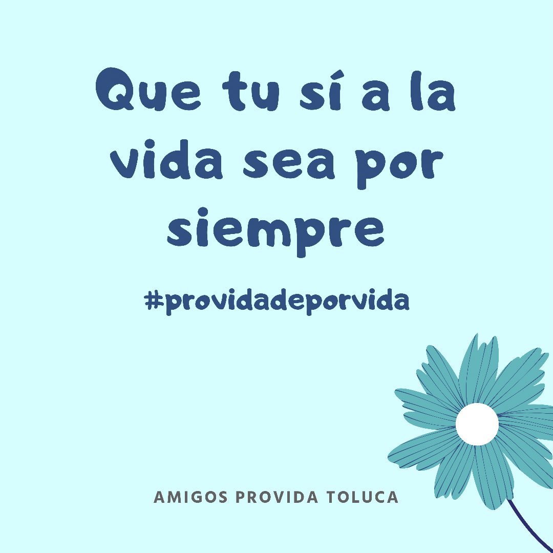 ProvidaToluca's tweet photo. Que sea por siempre ✌🏼

🔹
🔹
🔹

No se te olvide seguirnos en nuestras redes sociales 
🔵 Facebook- Amigos Provida
��� Instagram - @Amigosprovidatoluca
🟤 Twitter - @ProvidaToluca

#AmigosProvida #AmigosProvidaToluca #provida
#ProVidaDePorVida #providamexico #edomex #toluca https://t.co/Em2OCpvf4t