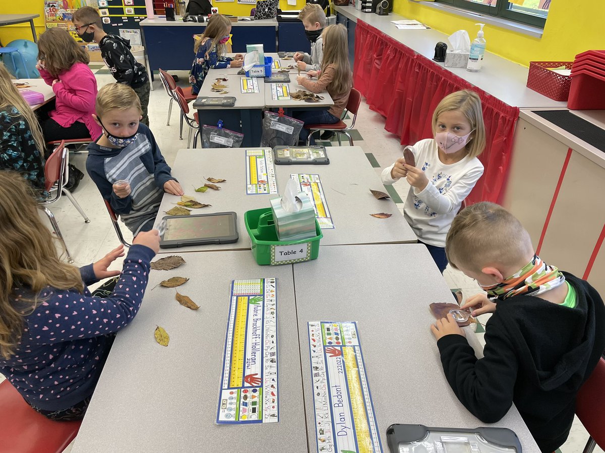We’re going on a leaf hunt! First grade fun! <a href="/mcperry705/">Mary Carole Perry, Ed.D.</a> <a href="/EFEAteaches/">EFEA</a>