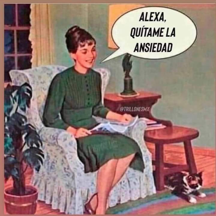 Chantal Aguilar 🌵 (@chance_chant) on Twitter photo 