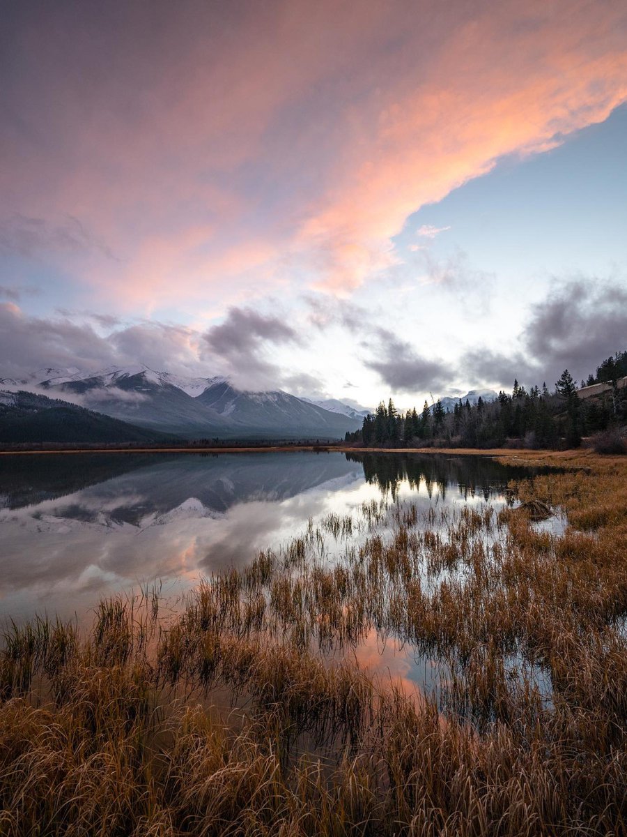 A moment to reflect

📷: IG/mattmacsemniuk

#mybanff #banff #banffnationalpark #nature #explorealberta #explorecanada