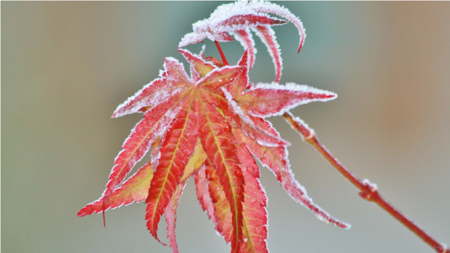 Plastic-Free YYC tweet media