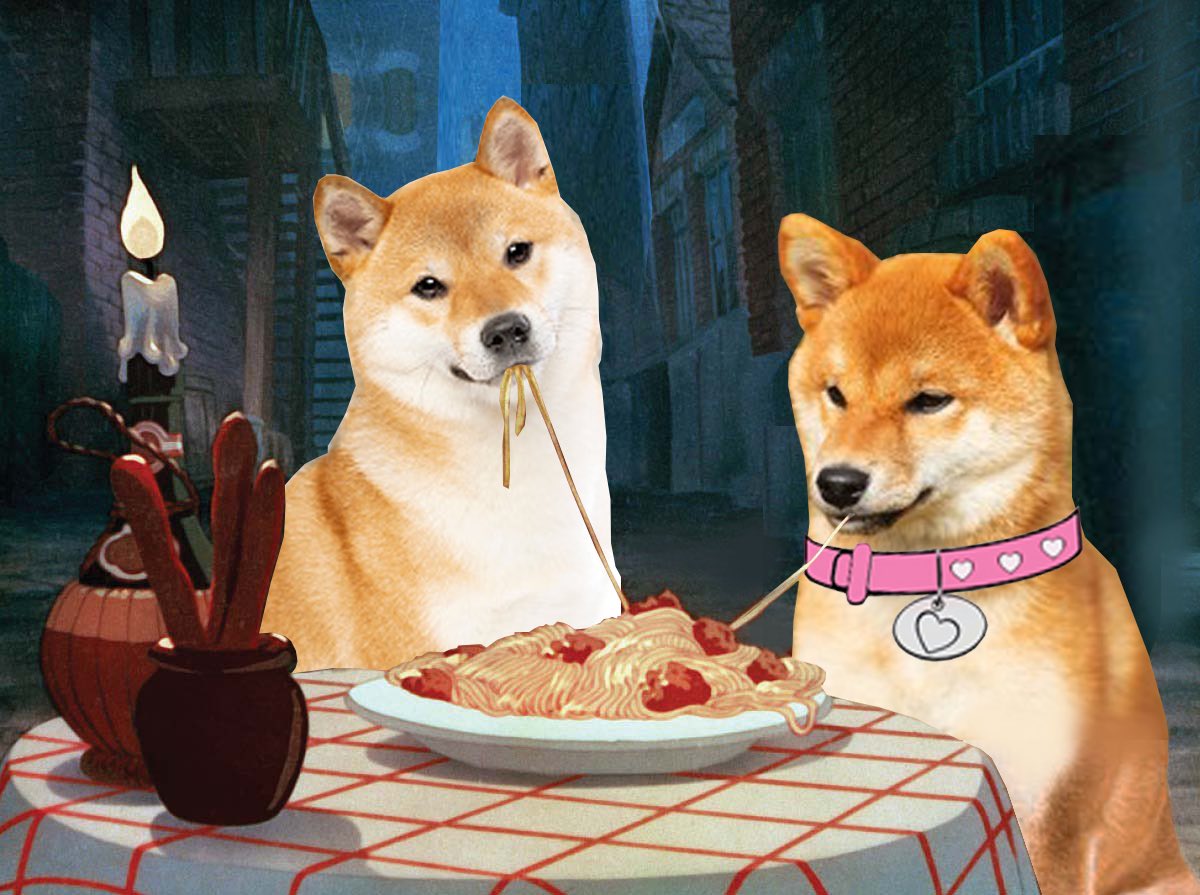 murove25's tweet photo. #dogegf #fogecoin #relationgoals 🚀 https://t.co/xfLTqgqEV0