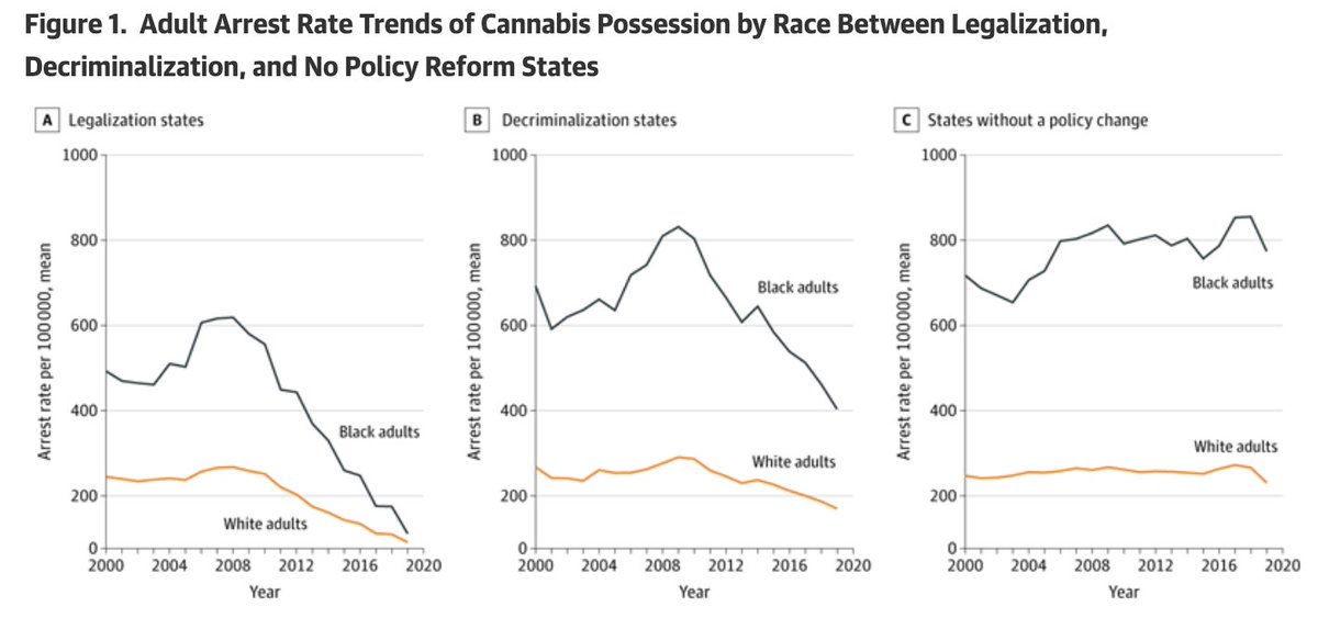 Steve Rolles tweet media