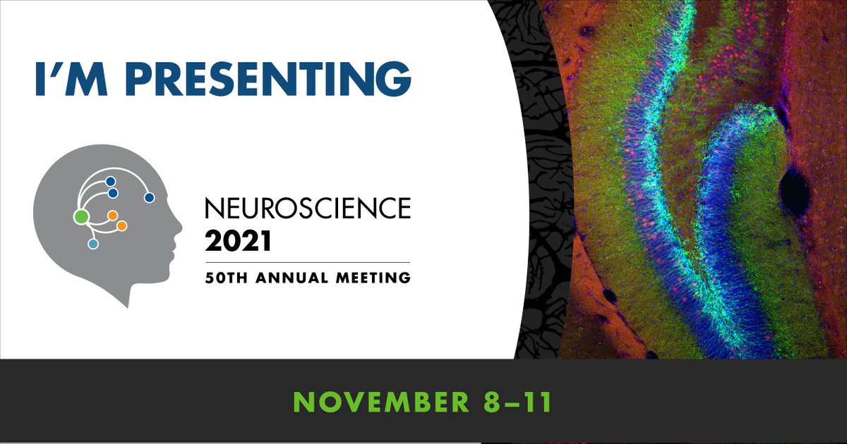 KarlyTegang's tweet photo. Add my poster (P011.04) to your itinerary if you want to learn more about adult hippocampal neurogenesis✨🔥#SfN2021 @SfNtweets #HenLab 
We are going live on 11/9 at 10 am EST. https://t.co/3rw8MS84wU