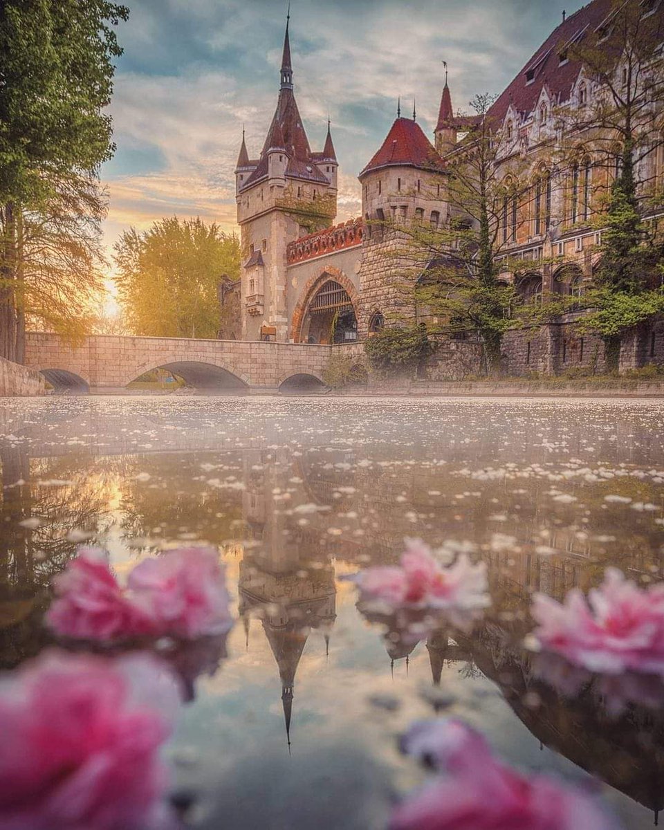 AcarZeyno's tweet photo. Vajdahunyad Castle, Budapest, Hungary...
Photo by krenn_imre... https://t.co/og2xnElMOe