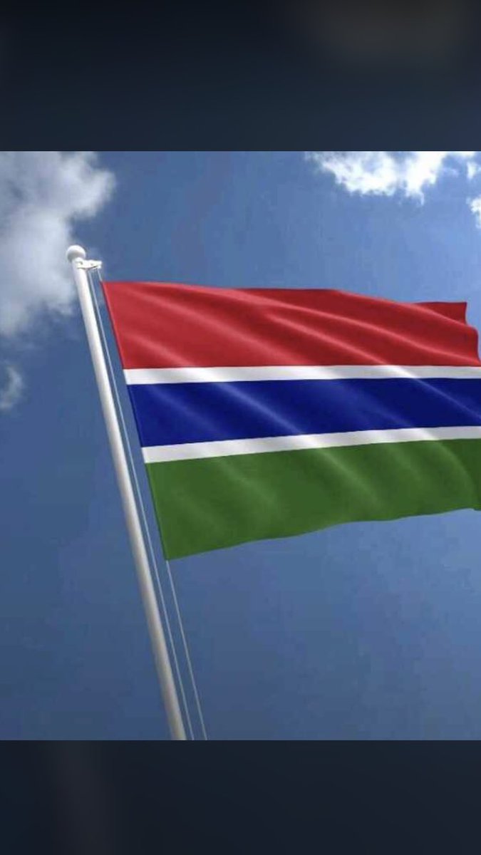 bubasarjo's tweet image. 