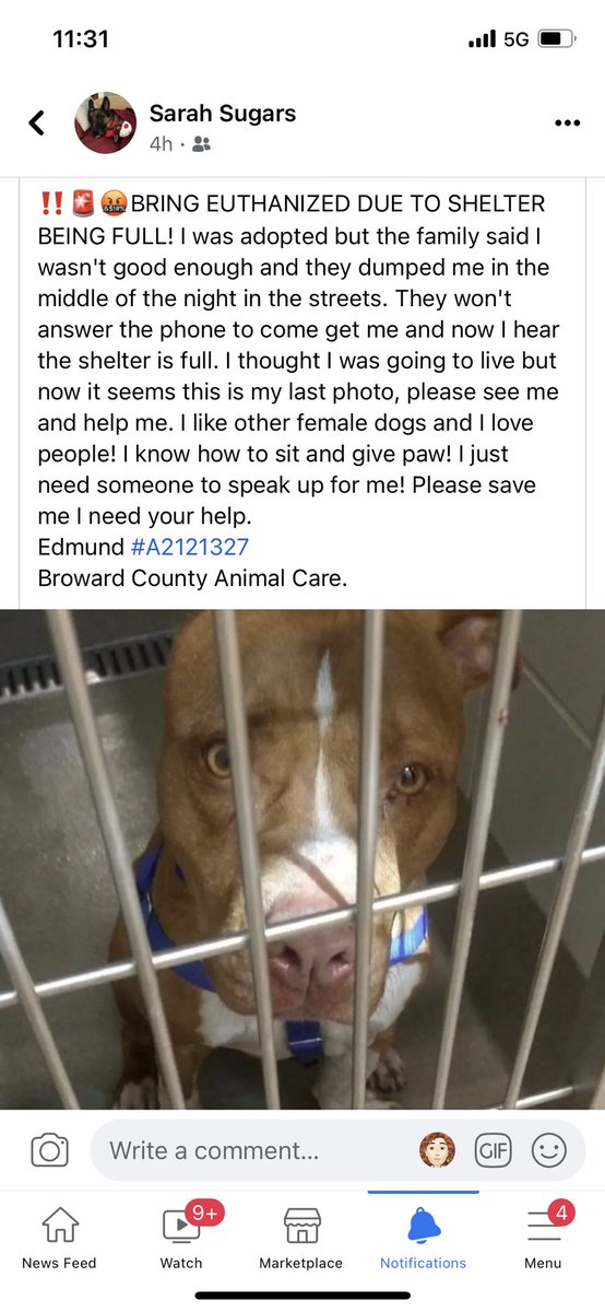 WeatherbySoraya's tweet photo. PlZ Rt n open ur heart 2save his precious life 🆘🆘🆘🆘 https://t.co/12hbr6CtTK