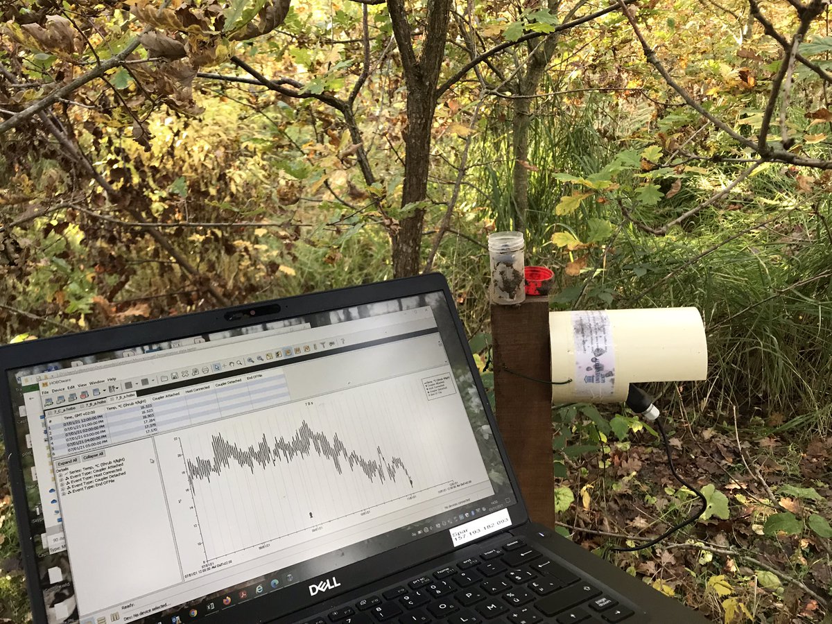 RDebeelde's tweet photo. Uitlezen van HOBO temperatuursensoren aan het Geerbos, tussen de buien door 😃  #TWIG #biodiversity #microclimate #FBWugent #ugent https://t.co/aBfRvOqpsU