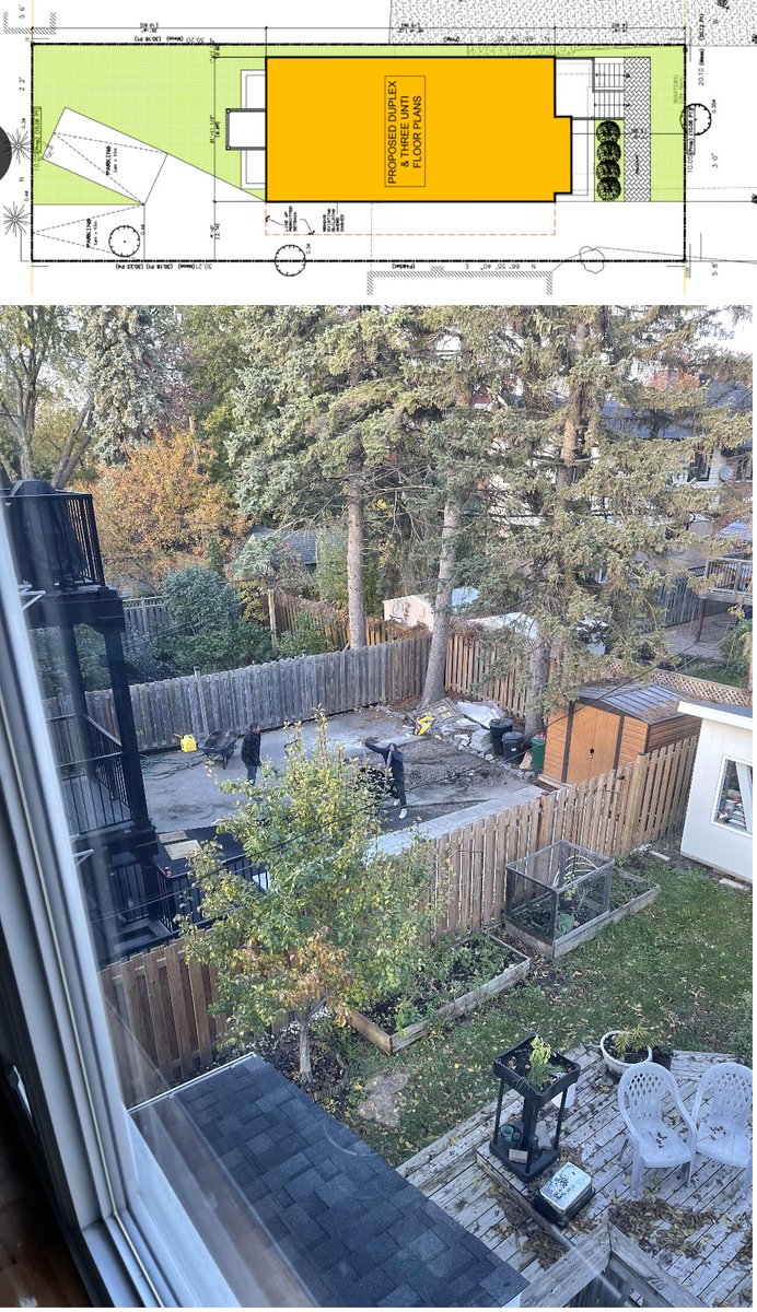 David Adair tweet media