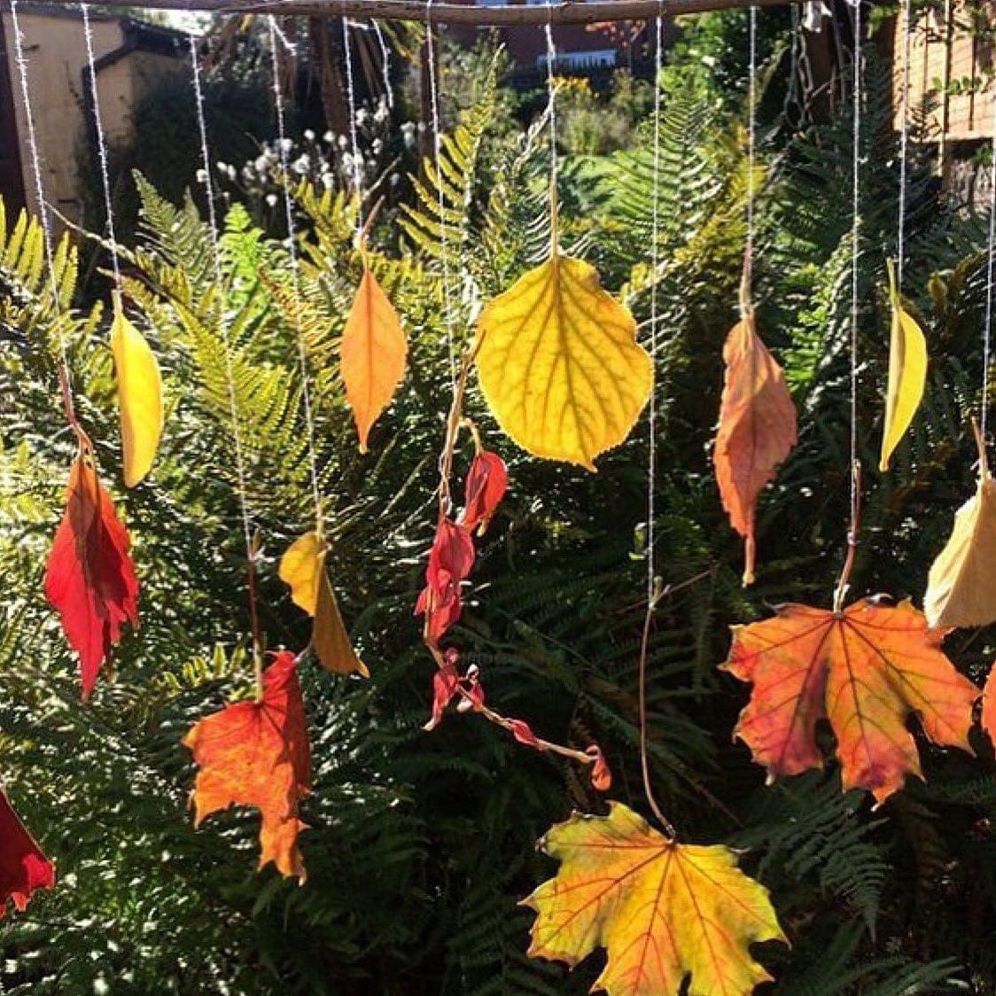 MudandBloom's tweet photo. Preserving autumn leaves with wax 🍂🍃🍁
This is one of the activities in our November box, I’ve also previously written a post on how to do it: https://t.co/IkXTtOUhZS
#waxedleaves #autumncraftsforkids #leafcrafts #mudandbloom https://t.co/ZIOgPPfDA3