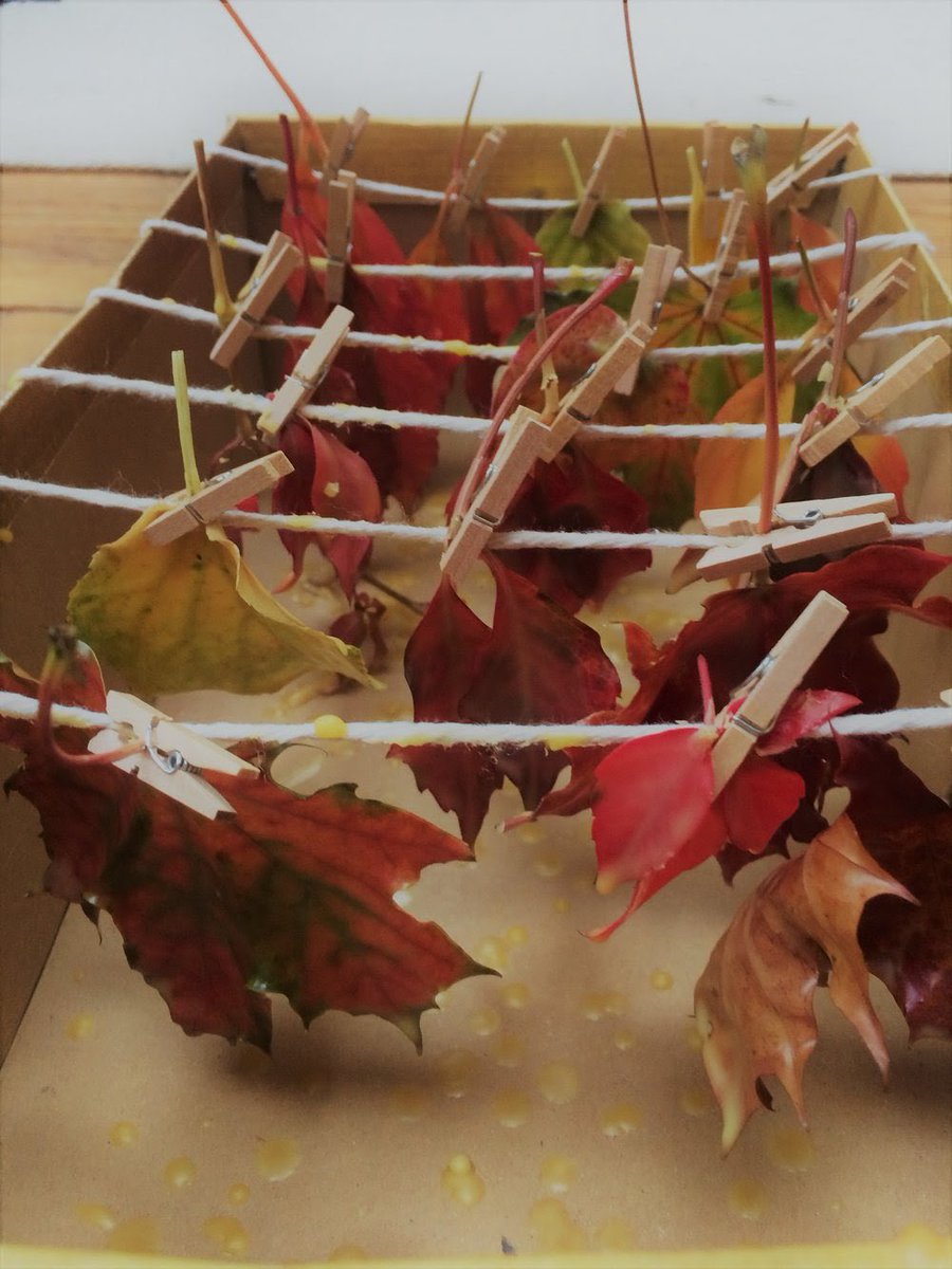 MudandBloom's tweet photo. Preserving autumn leaves with wax 🍂🍃🍁
This is one of the activities in our November box, I’ve also previously written a post on how to do it: https://t.co/IkXTtOUhZS
#waxedleaves #autumncraftsforkids #leafcrafts #mudandbloom https://t.co/ZIOgPPfDA3