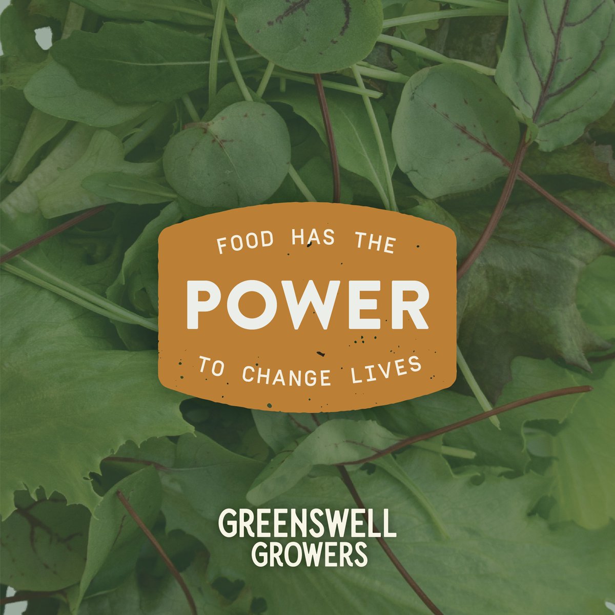 Food has the power to change lives. That's why we're here. Follow along to learn how our leafy greens grown in #Goochland County are giving back to the community. Learn more at greenswellgrowers.com.