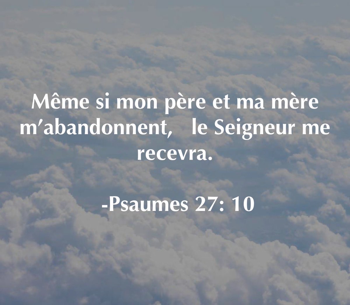 MariePierre_L's tweet photo. https://t.co/a7u5xwTqTn