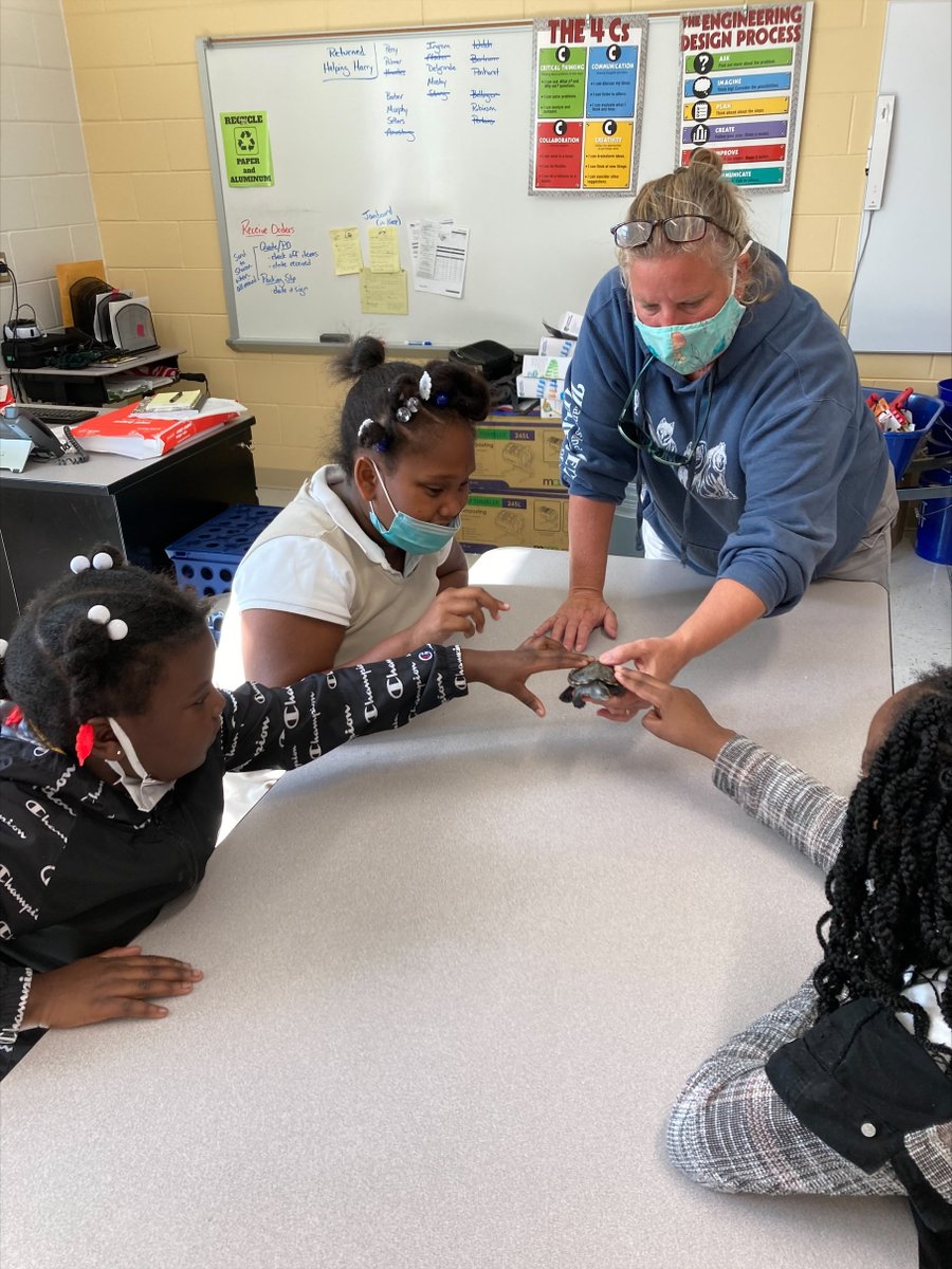 ABWilliamsElem1's tweet photo. Many thanks to @OatlandIsland for coming out and sharing their animal enrichment activity with us! #STEMeducation #STEAMbuilding https://t.co/Bg3XlYz2bd