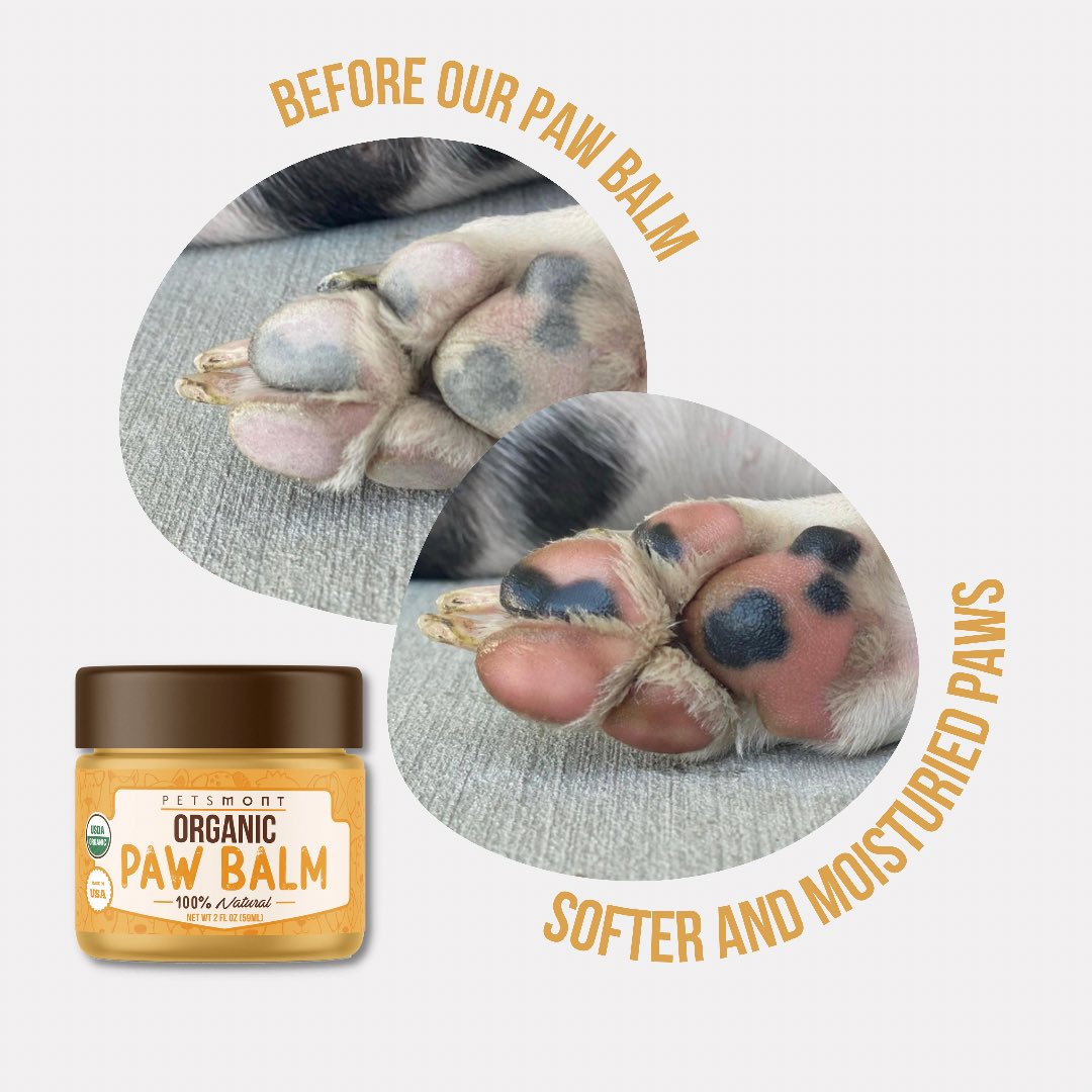 Soft &amp; moisturized paws anyone? 🐾 

🌱 Our organic paw balm is the truth!🤩