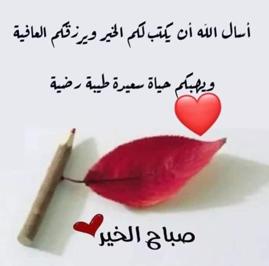 ‏ ‏ننبـ💛̨̥̬̩ض آإلآإمـ💙̨̥̬̩ل tweet media