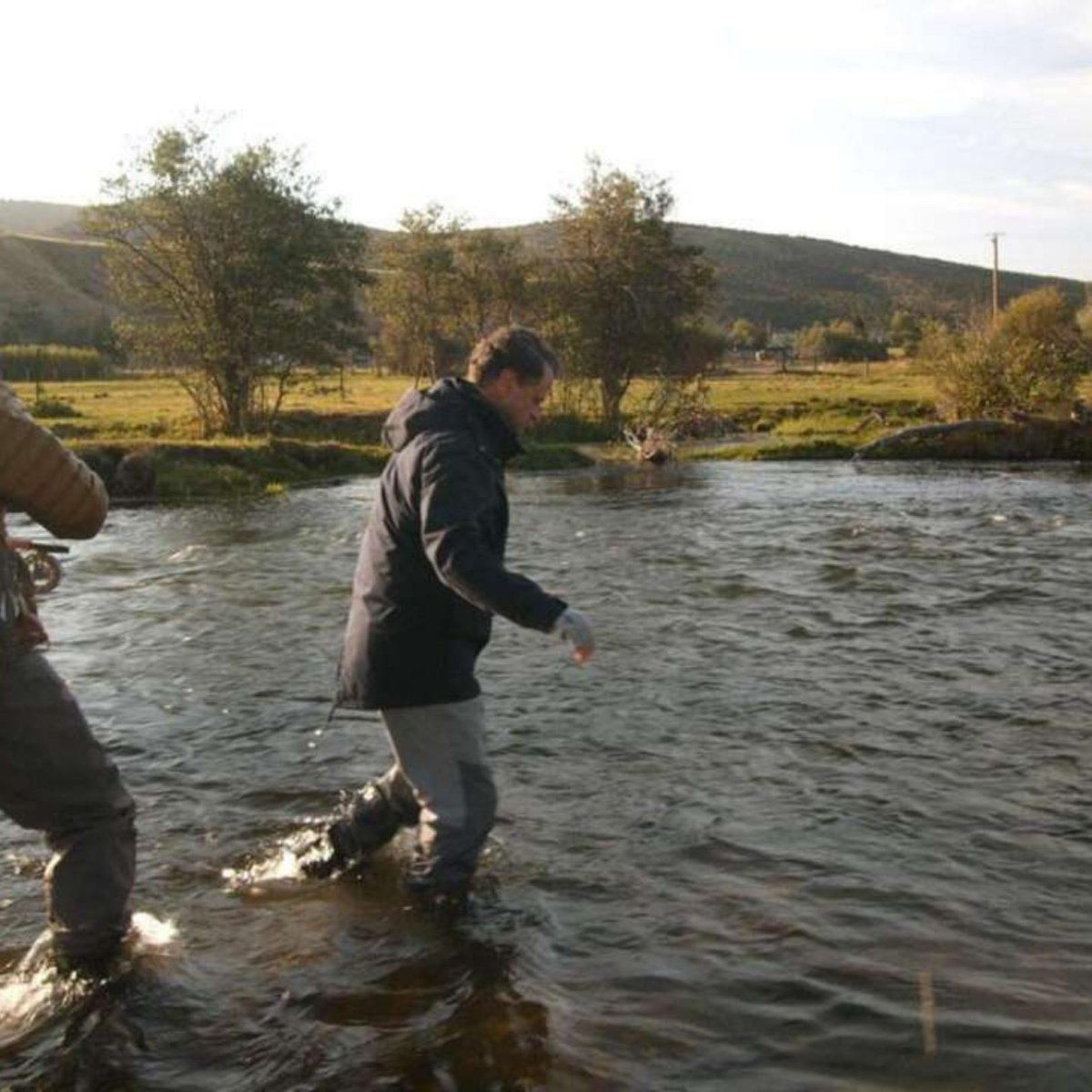 Chefdance tweet media