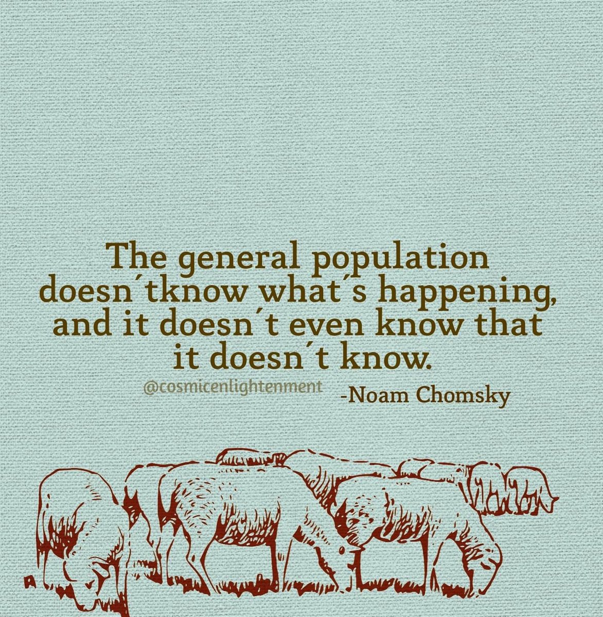 Rothmus 🏴 tweet media