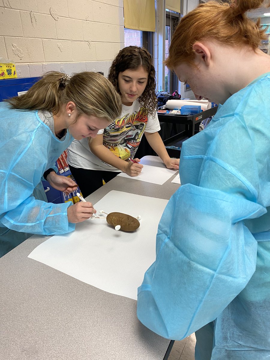 Forrest_Rockets's tweet photo. Mrs Dillon’s Health Science classes performed potato surgery yesterday!! This activity helped the students in learning anatomical position, planes and directional terms of body. 💙🚀👩🏼‍⚕️👨🏻‍⚕️ https://t.co/uy4mhmA48H