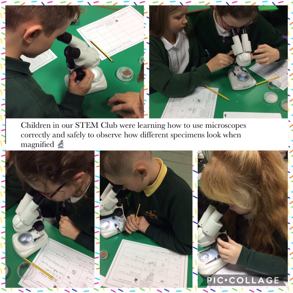 LPSYear6's tweet photo. Children in Years 5 and 6 @LiscardPrimary STEM Club had a great time discovering what different specimens looked like under a microscope @STEMLearningUK @allaboutstem @RoyalMicroSoc https://t.co/BeyxgdNjV7