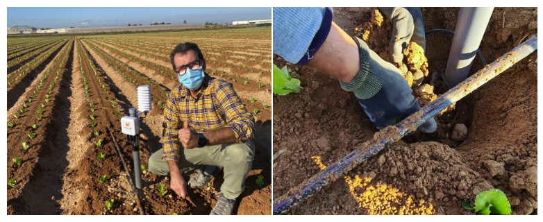 visualNACert's tweet image. BF AGRÍCOLA 4G, socio de Huerta Gama en el Campo de Cartagena, arranca la monitorización de humedad de suelo y datos agroclimáticos con Visual Sensor 🌱🚀
Puedes encontrar más información sobre nuestros sensores en: visual-iot.es
#visualsensor #agtech #sostenibilidad