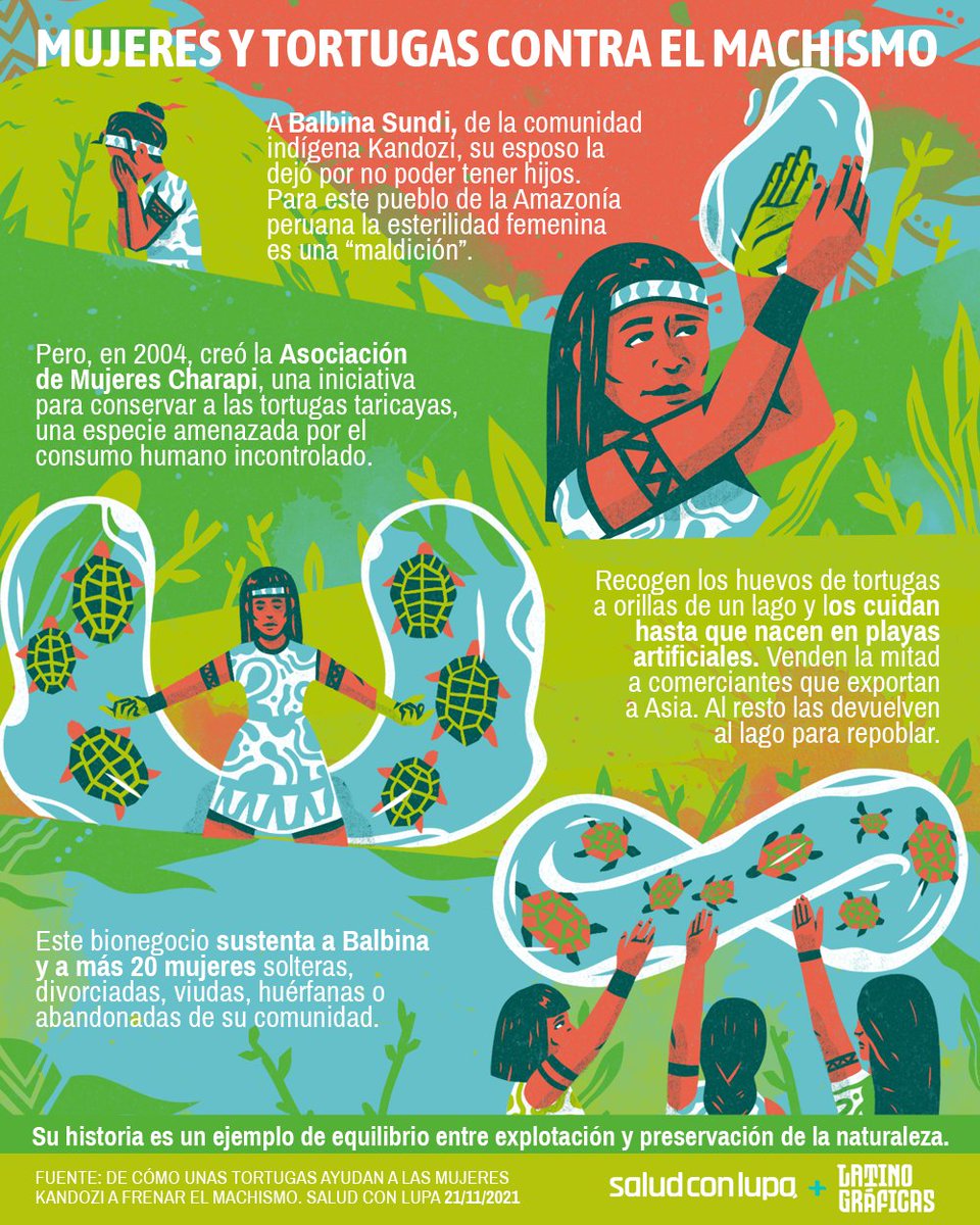 saludconlupa's tweet photo. ✨Un grupo de mujeres del pueblo indígena Kandozi, en la Amazonía peruana, encontraron en la conservación de las tortugas taricayas 🐢un bionegocio que les permite sustentarse y ayudar al repoblamiento de esta especie vulnerable ✨

Una ilustración de #latinograficas https://t.co/Yen3iJD7fw