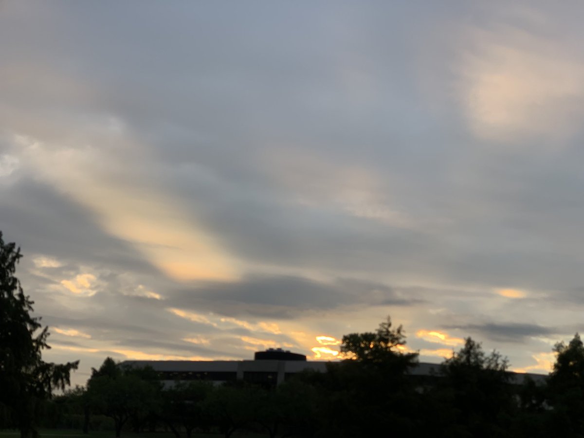 Mark Herrera tweet media