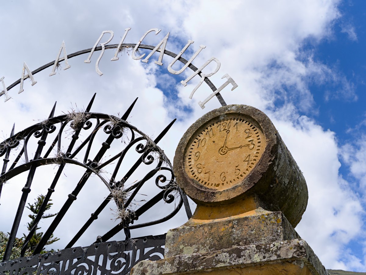 onemorejulian's tweet image. Frozen in time

#stoneclock #ricaurte #photography #framingthechaos