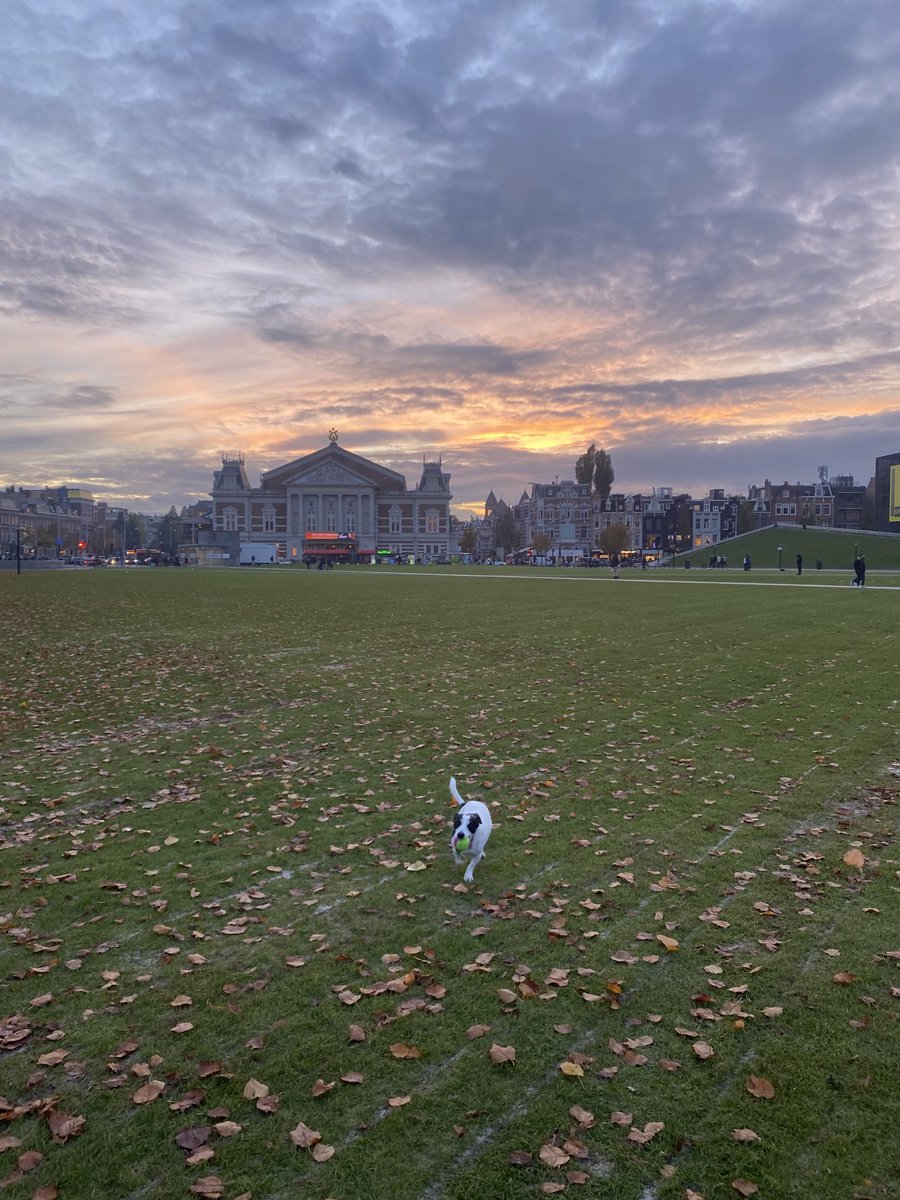 LaurenComiteau's tweet image. That #Dutch light. And 🐶 #noFilterNecessary at #Museumplein #Amsterdam