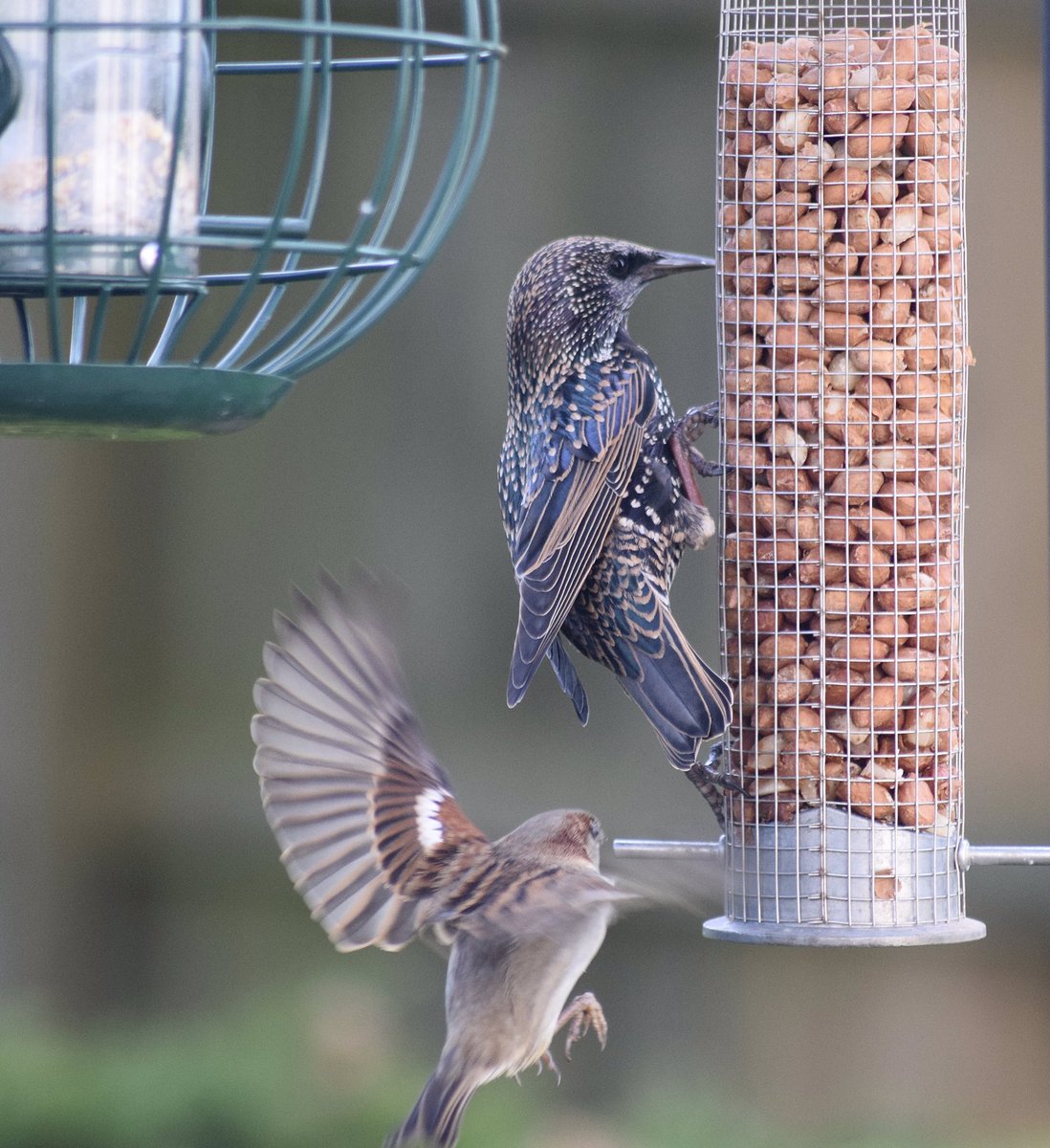 Bit of awesome bird life in #Lincolnshire #birdlovers It was a fluke photo, but so pleased with it!!
