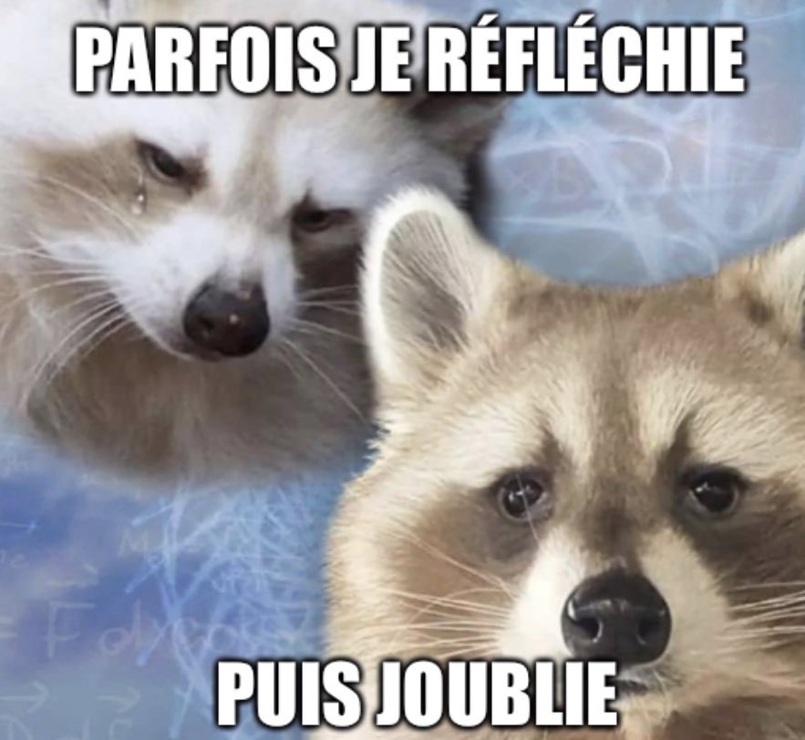 IbnAlBatard's tweet photo. @gdcorpsdemalade https://t.co/p5vUJQoJZv