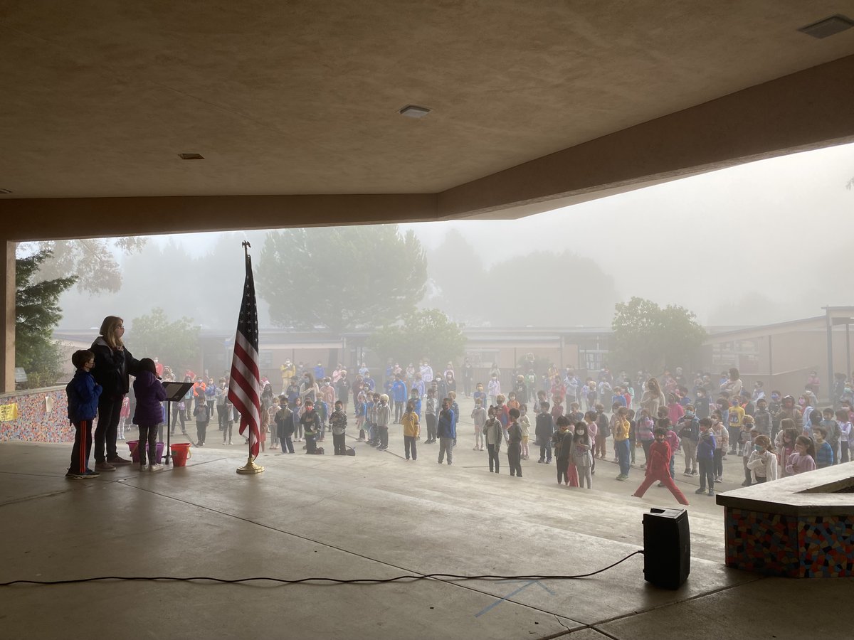 HeatherSCSD's tweet photo. A foggy Welcome Wednesday Assembly today! https://t.co/9ts6G1t3p9