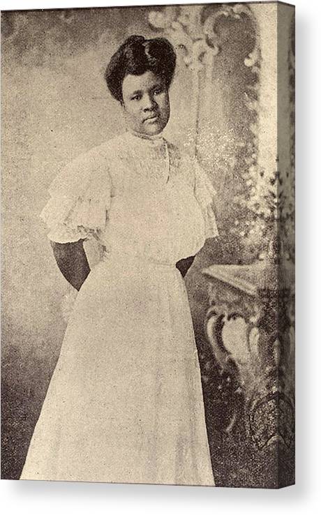 𝖂𝕾𝖁𝕯𝖊𝖘𝖎𝖌𝖓 tweet media