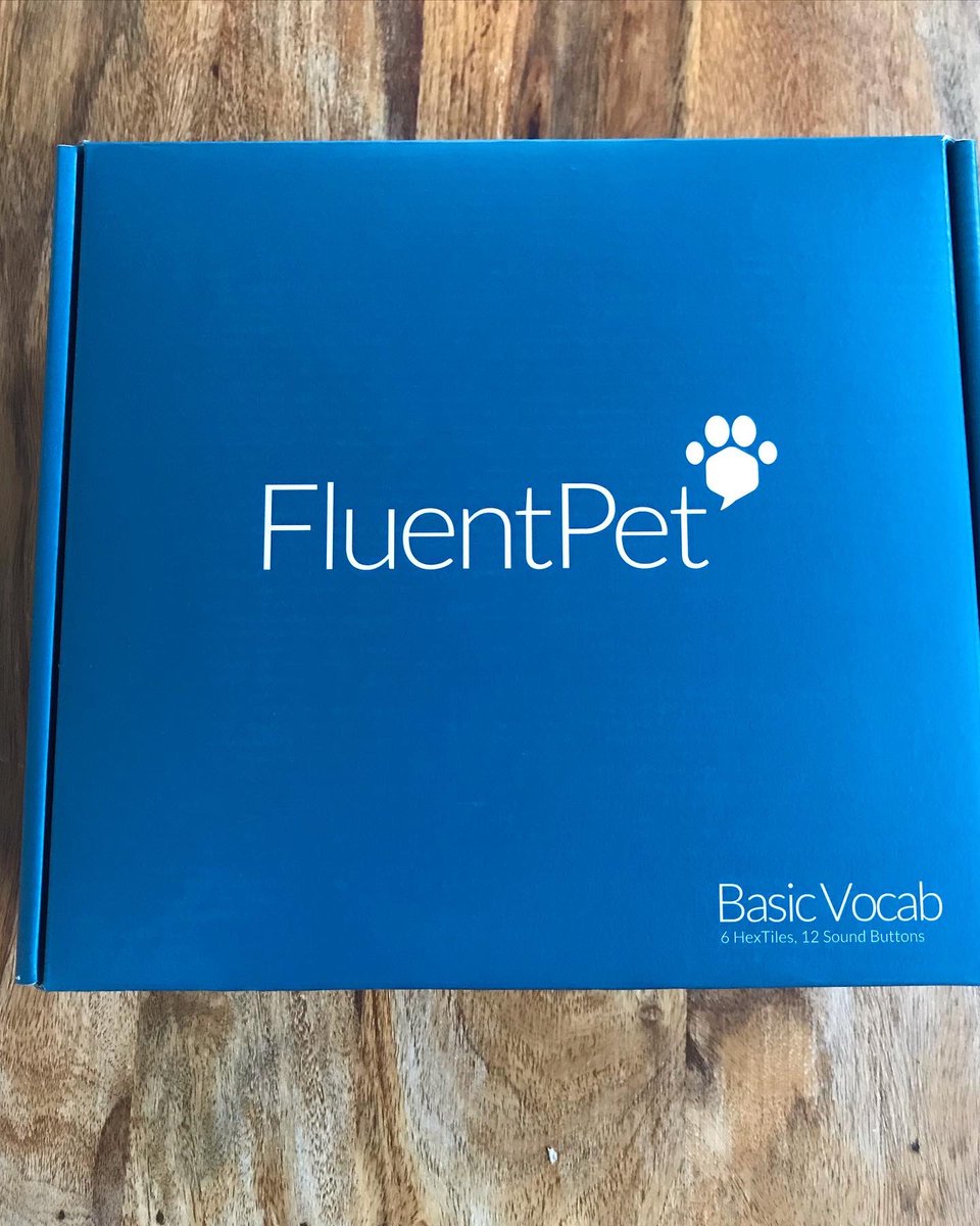 mabel_chattycat's tweet photo. “MOM!”- I found myself with a lot of time on my hands being off work with Long Covid during lockdown so…. 🤷🏼♀️ Excited to share our progress with you… LET THE FUN BEGIN!
@fluentpet @billispeaks @whataboutbunny @hunger4words
#fluentpet #fluentpetbuttons #fluentpetlearner https://t.co/UYt9VGbsHQ